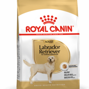 Royal Canin Labrador Retriever Adult