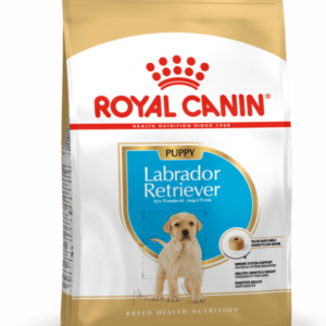 Royal Canin Labrador Retriever Puppy