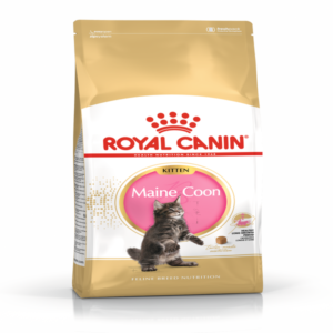 ROYAL CANIN® Maine Coon Kitten