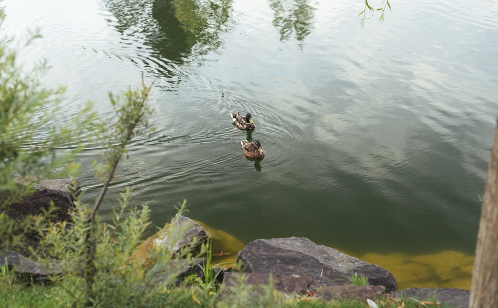 вода езеро за