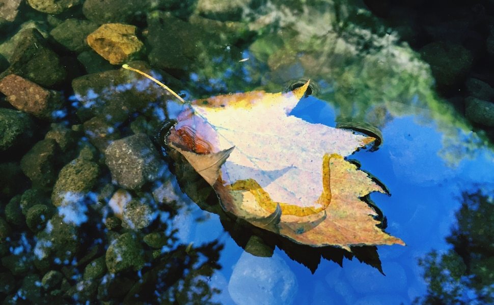 вода чиста езеро