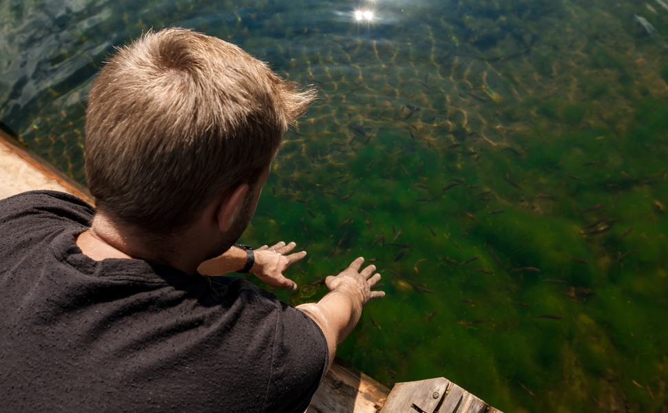 риби езеро отглеждане