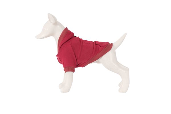 Freedog-Hoodie-Red-suitchar-za-kuche