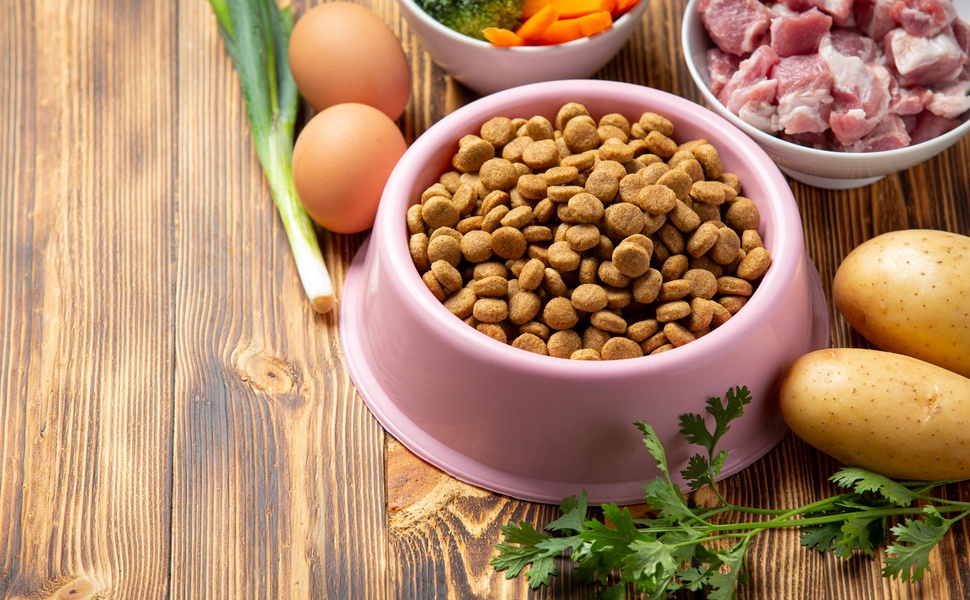 храна любимци домашни