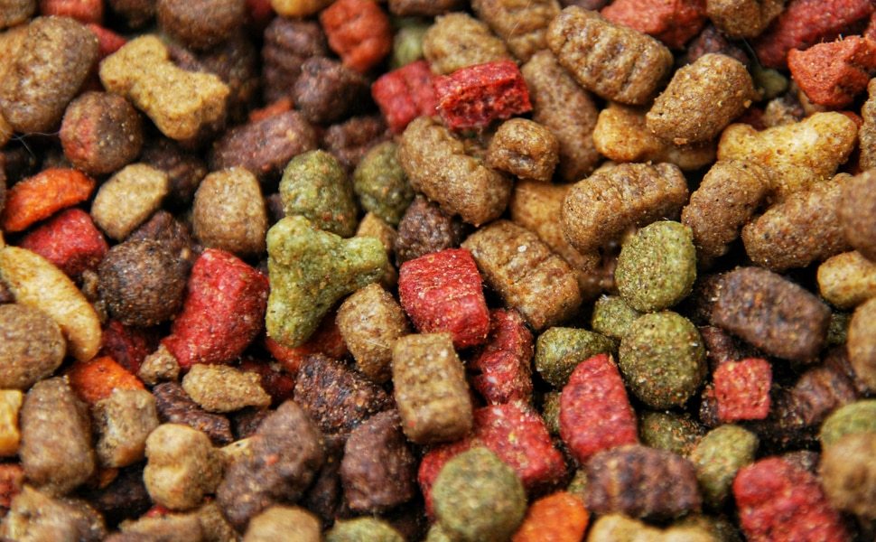 домашни храна любимци