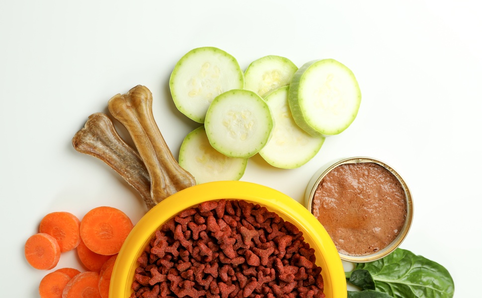 за храна кучета