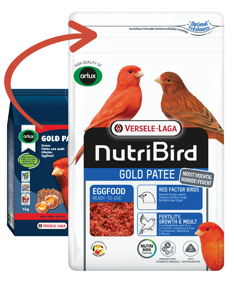 NutriBird Gold Patee Red яйчна храна за червени канари