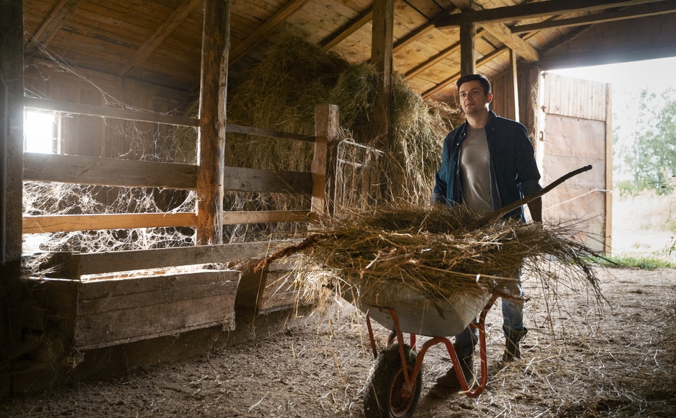 американски кон символ куортър