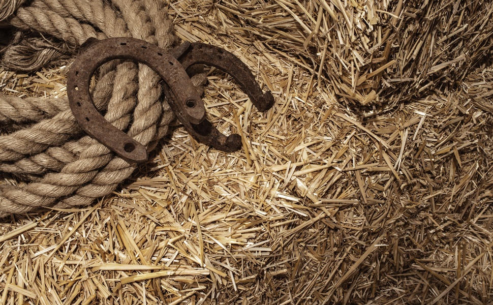 легенда ахал текински кон