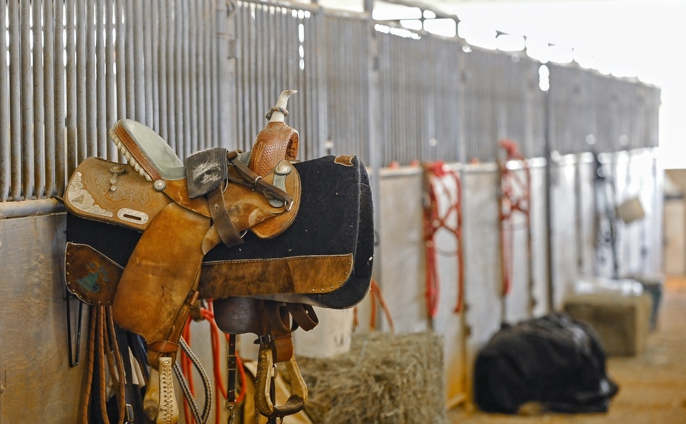 тежковоз бретонски кон