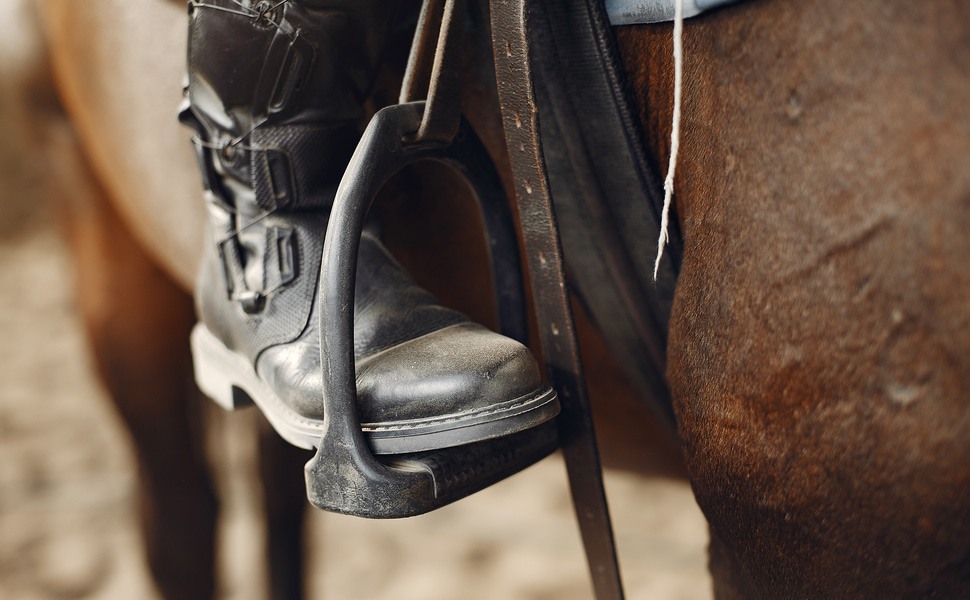 вестфален порода кон