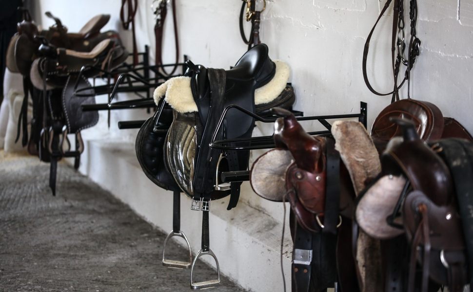 Карабахският кон в съвременния свят