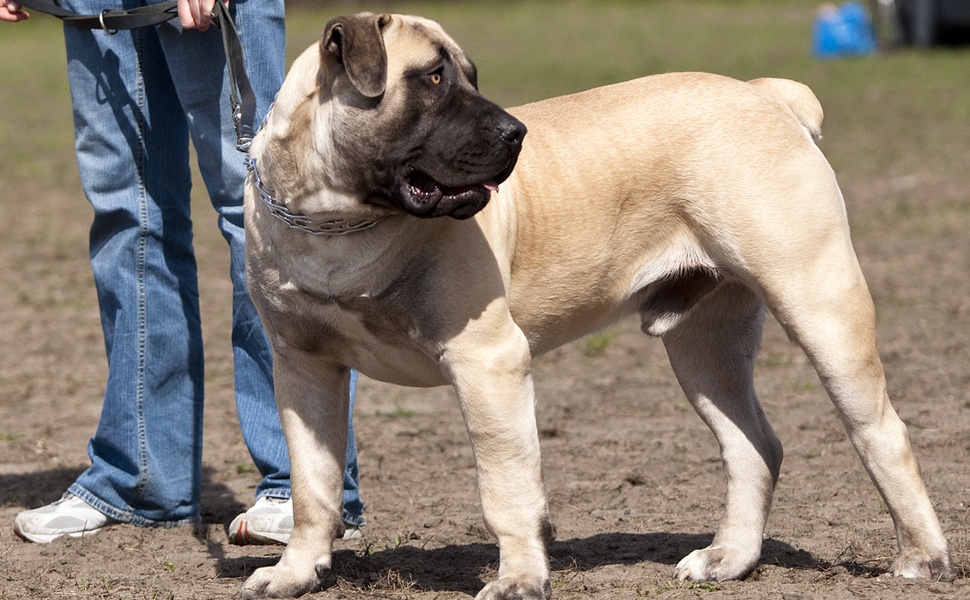 Здраве и продължителност на живота