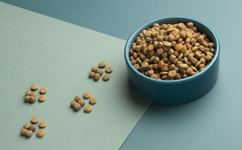 суха храна 2