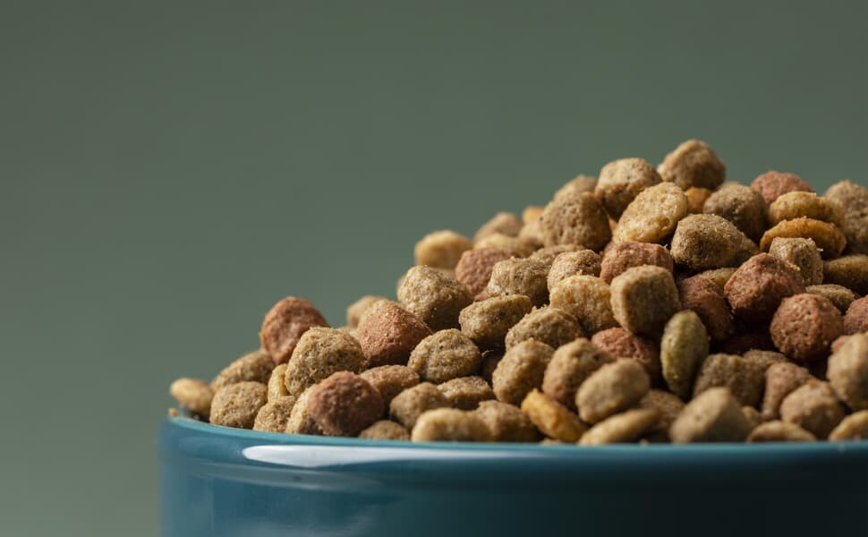 храна за суха кучета