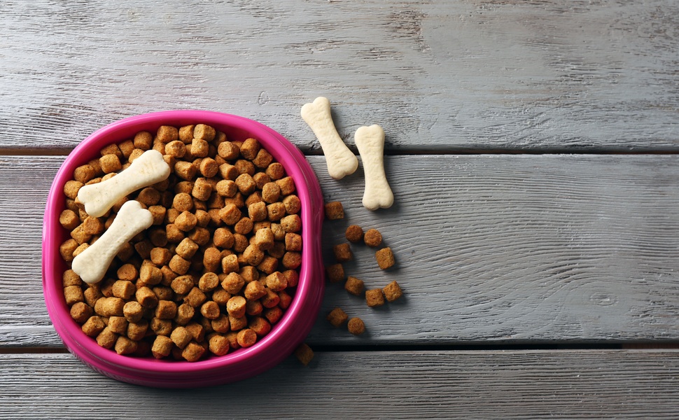 суха за храна кучета