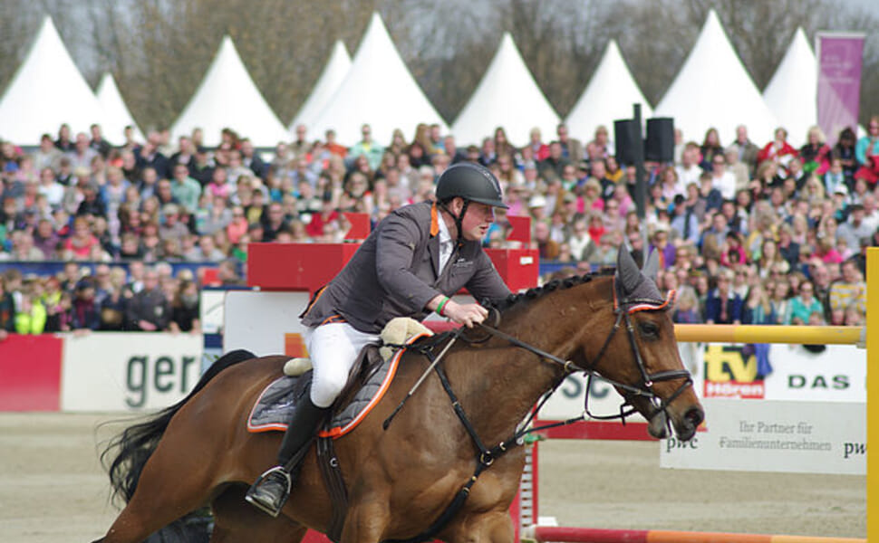 Основни характеристики на породата Холщайнер