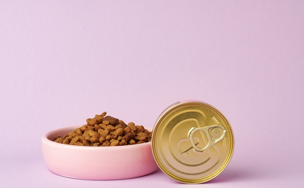 паучове и суха храна за кучета как да ги комбинираме