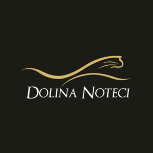 Dolina Noteci