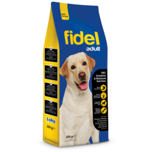 Fidel Adult Dog
