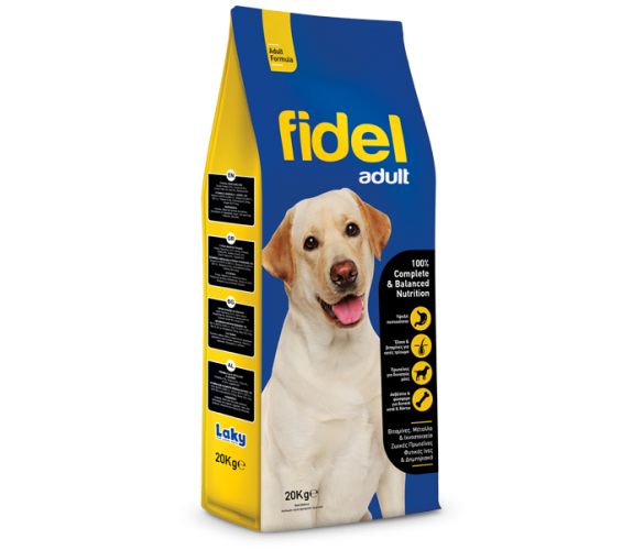 Fidel Adult Dog