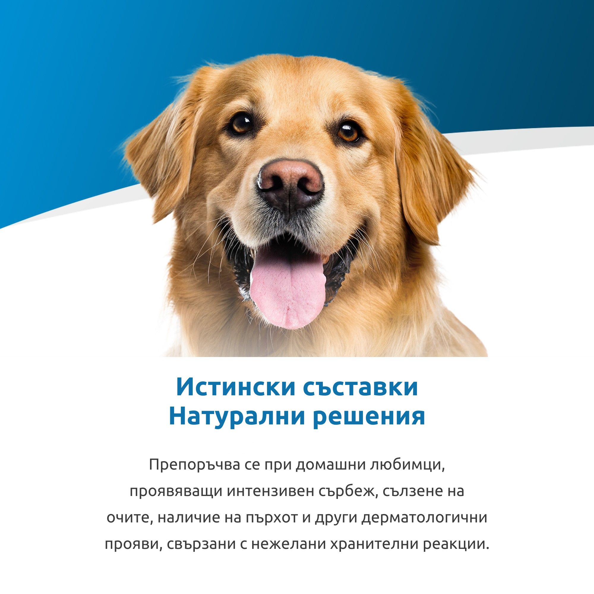 Vet Life Adult Dog Hypoallergenic Can 300g - Image 4