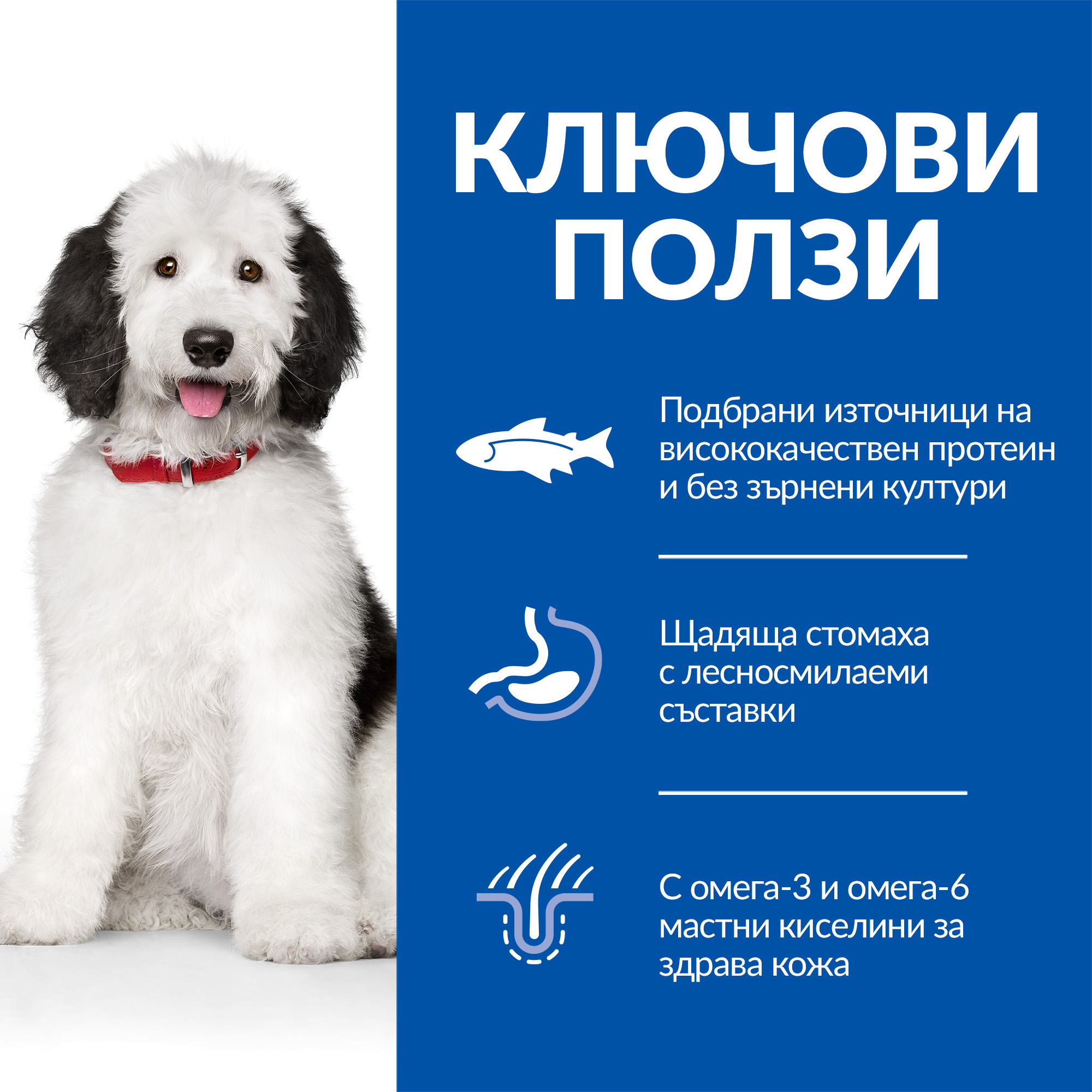 Hill's Large Dog Hypoallergenic - Image 4