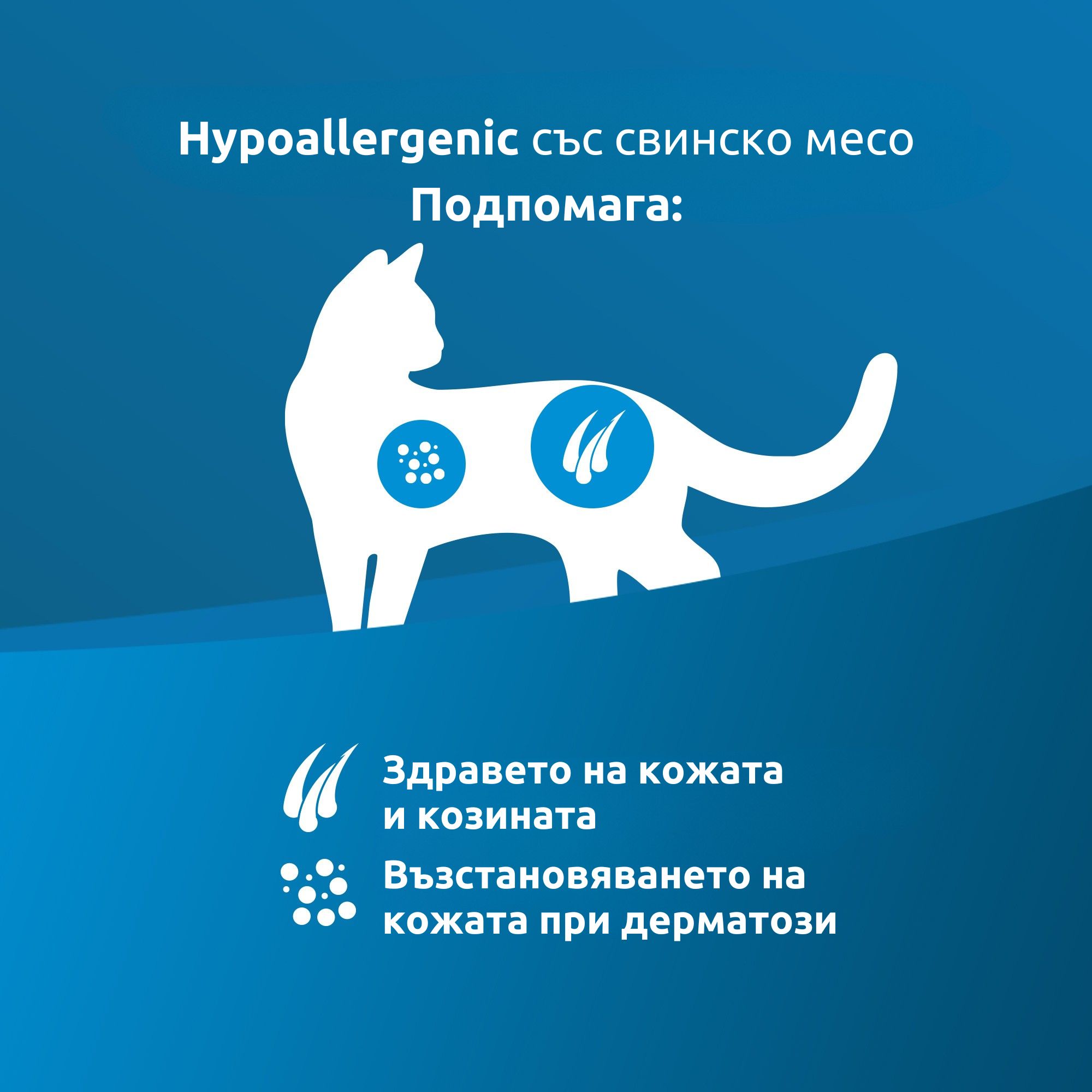 Vet Life Cat Hypoallergenic Pork - Image 2