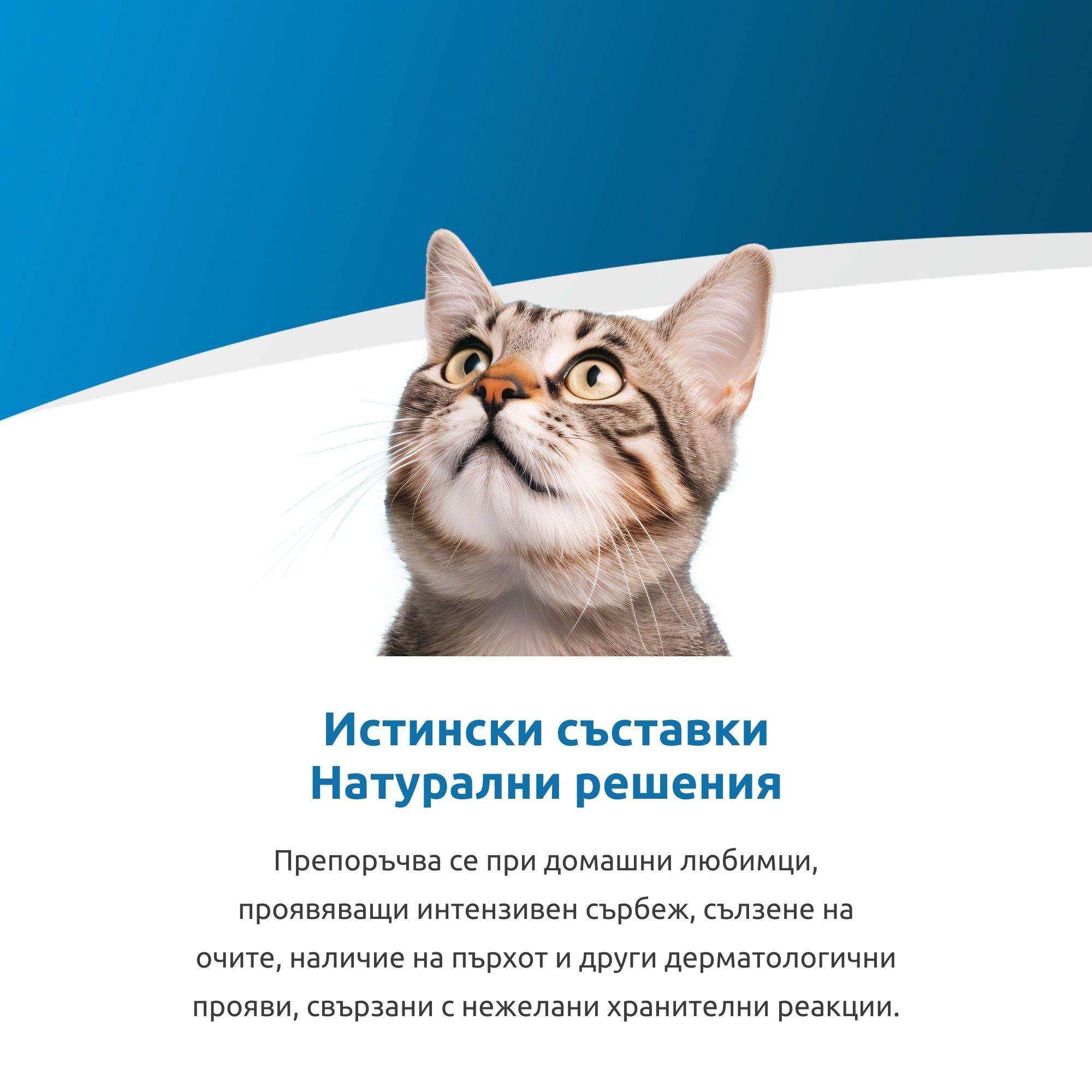 Vet Life Cat Hypoallergenic Pork and Potato Can - Image 4
