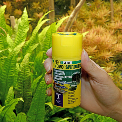 ProNovo Spirulina Grano S за аквариумни обитатели - Image 2