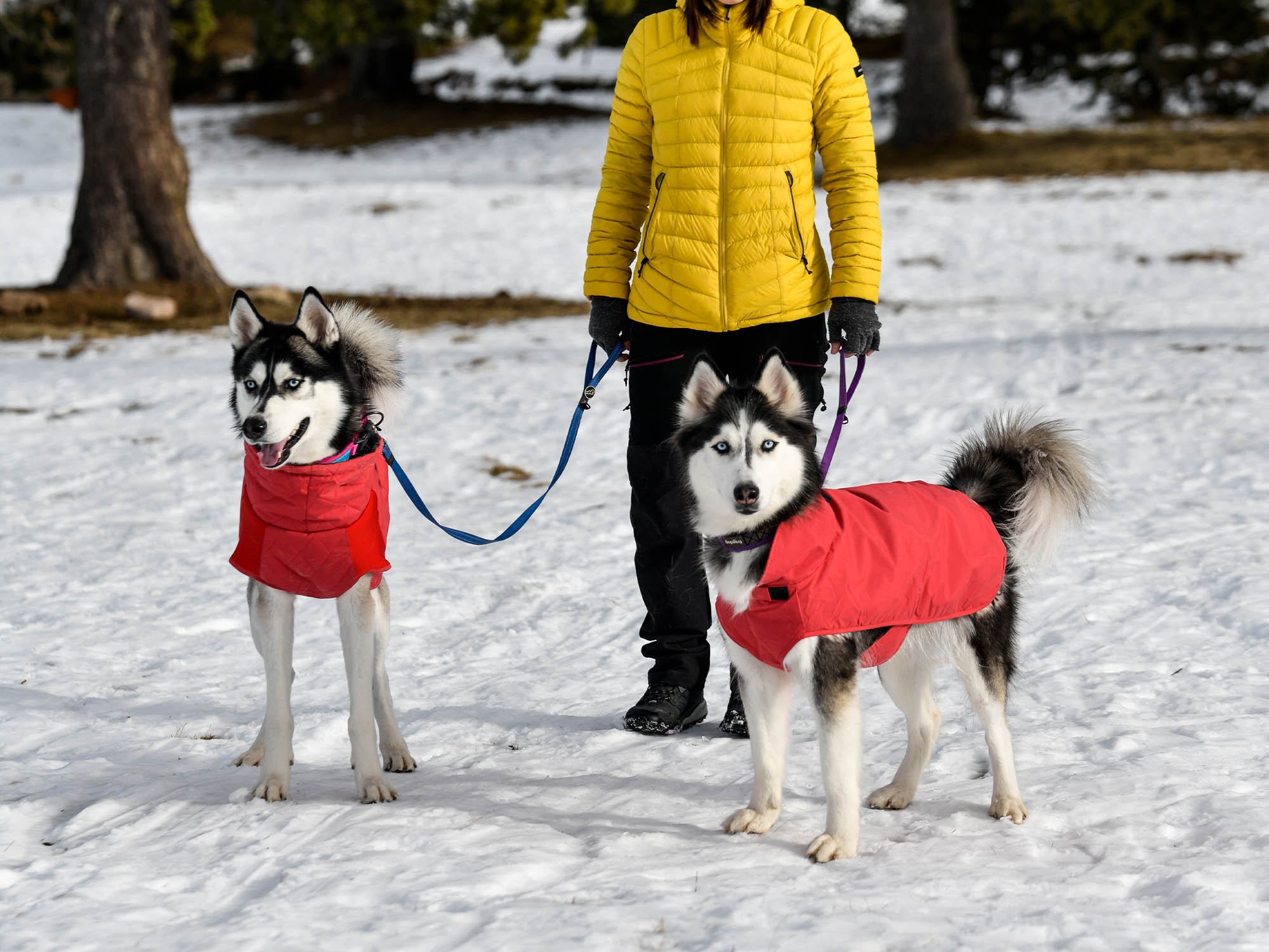 Raincoat Oymyakon Red зимно яке за куче с нагръдник - Image 3